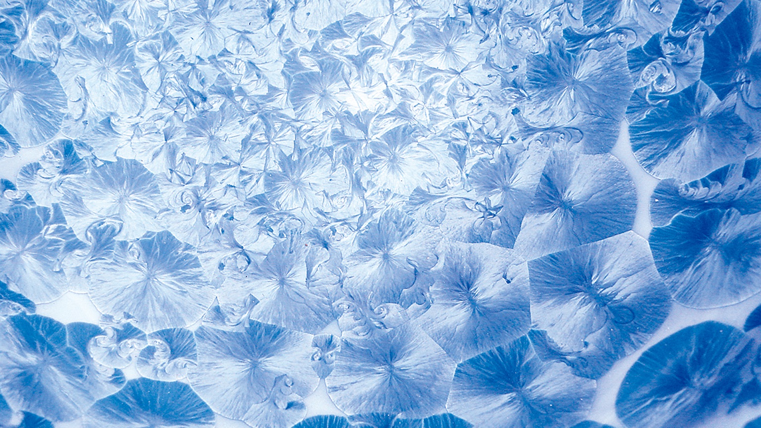 Hanakessho (Flower Crystal) （image1）